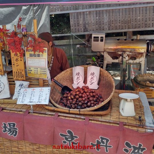 https://www.satsukibare.it/wp-content/uploads/2015/12/20170603_112132_HDR-540x540.jpg