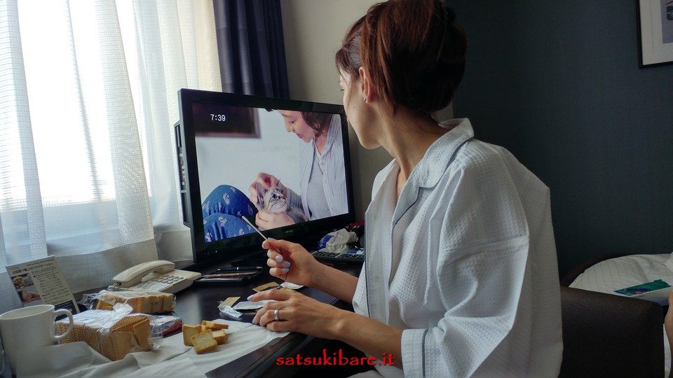 https://www.satsukibare.it/wp-content/uploads/2015/12/20170605_073923_HDR-960x540.jpg
