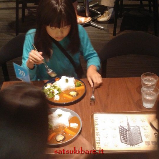 https://www.satsukibare.it/wp-content/uploads/2015/12/20170610_200443_HDR-540x540.jpg