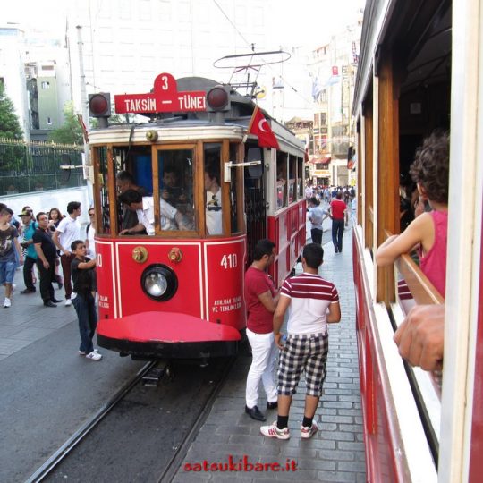https://www.satsukibare.it/wp-content/uploads/2015/12/F-30-540x540.jpg