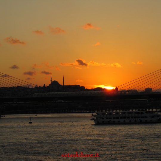 https://www.satsukibare.it/wp-content/uploads/2015/12/F-73-540x540.jpg