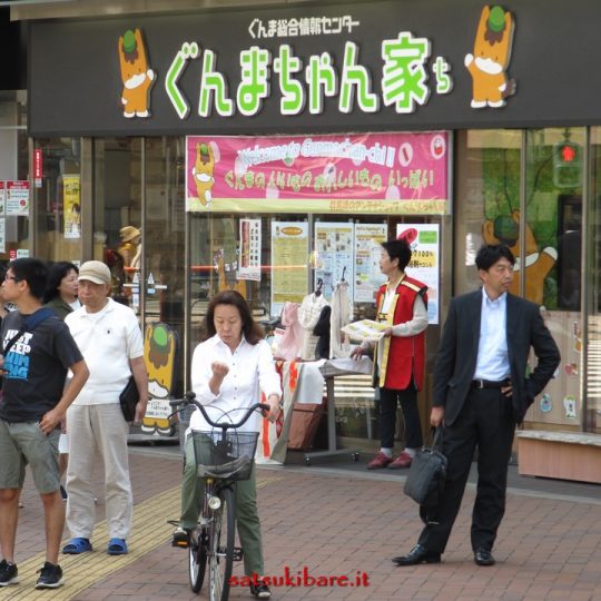 https://www.satsukibare.it/wp-content/uploads/2015/12/IMG_0194-540x540.jpg