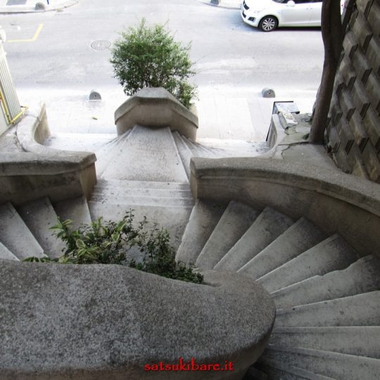 https://www.satsukibare.it/wp-content/uploads/2015/12/IMG_0996-540x540.jpg