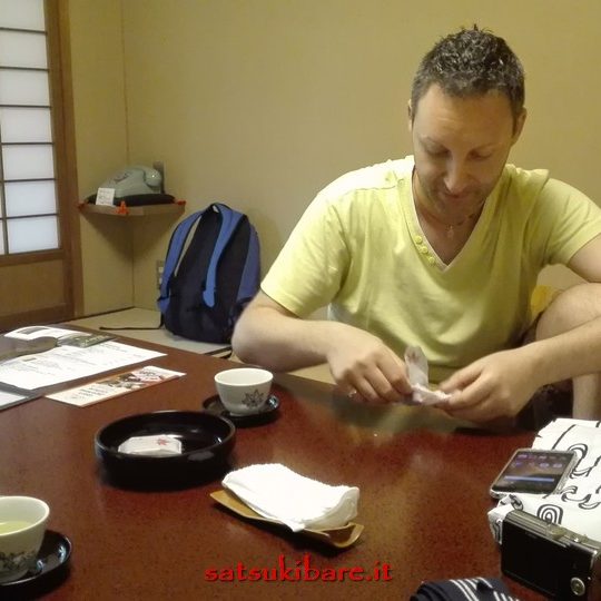 https://www.satsukibare.it/wp-content/uploads/2015/12/IMG_20170601_175207-540x540.jpg