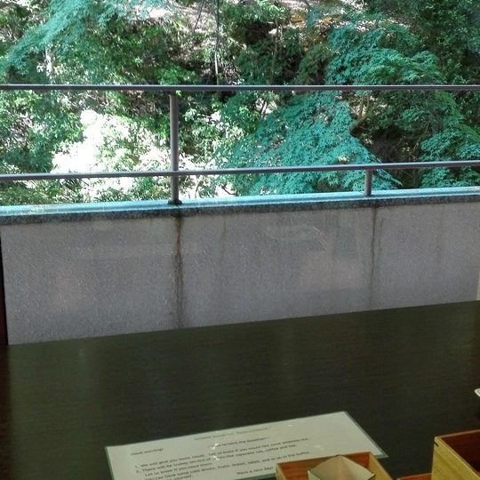 https://www.satsukibare.it/wp-content/uploads/2015/12/IMG_20170602_073650-540x540.jpg