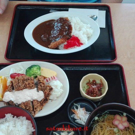 https://www.satsukibare.it/wp-content/uploads/2015/12/IMG_20170602_134941-540x540.jpg