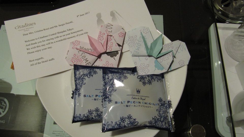 https://www.satsukibare.it/wp-content/uploads/2015/12/IMG_9575-960x540.jpg