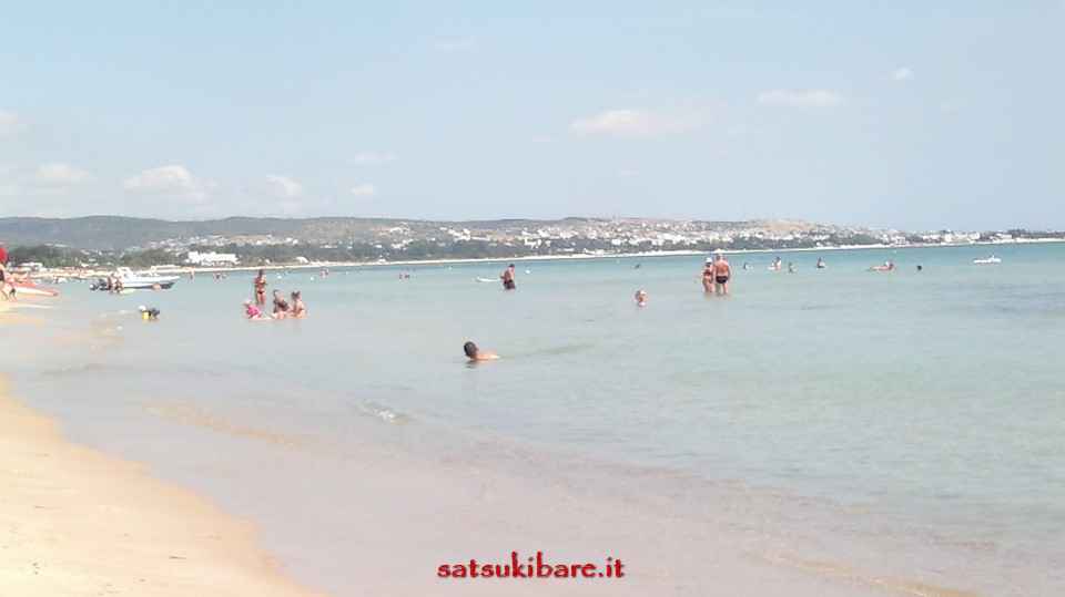 https://www.satsukibare.it/wp-content/uploads/2017/03/130920131778.jpg