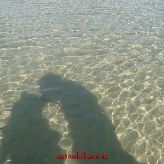 https://www.satsukibare.it/wp-content/uploads/2017/03/DSC00252-540x540.jpg