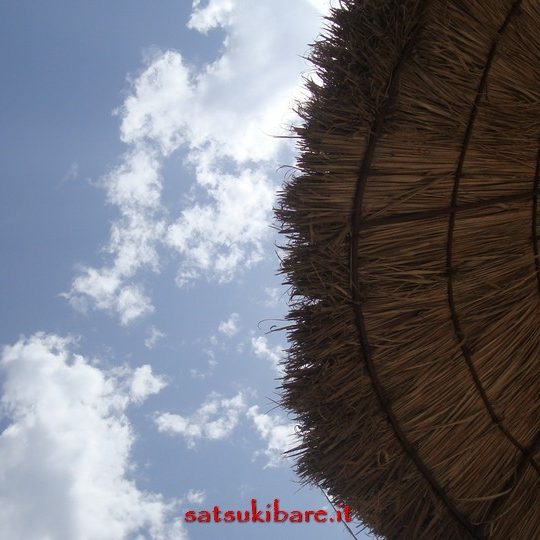 https://www.satsukibare.it/wp-content/uploads/2017/03/DSC07519-540x540.jpg