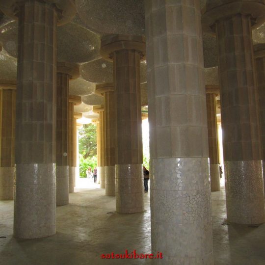 https://www.satsukibare.it/wp-content/uploads/2017/03/IMG_0420-540x540.jpg