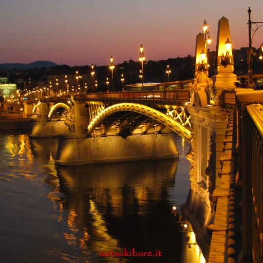 https://www.satsukibare.it/wp-content/uploads/2017/03/IMG_3040-540x540.jpg