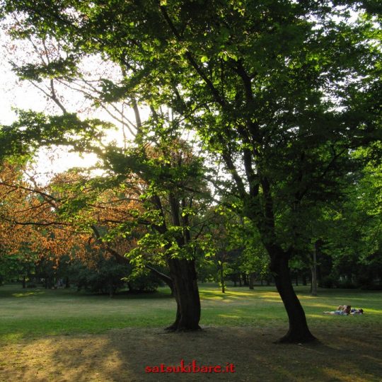 https://www.satsukibare.it/wp-content/uploads/2017/03/IMG_3508-540x540.jpg