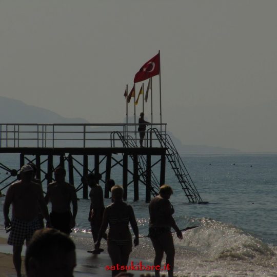 https://www.satsukibare.it/wp-content/uploads/2017/03/IMG_4956-540x540.jpg