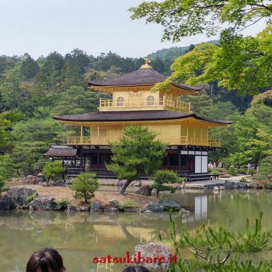 https://www.satsukibare.it/wp-content/uploads/2017/08/20170530_135553_HDR-540x540.jpg
