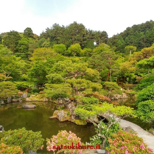 https://www.satsukibare.it/wp-content/uploads/2017/08/20170530_160939_HDR-540x540.jpg