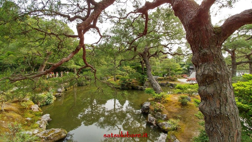 https://www.satsukibare.it/wp-content/uploads/2017/08/20170530_161010_HDR-960x540.jpg