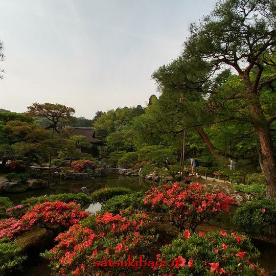 https://www.satsukibare.it/wp-content/uploads/2017/08/20170530_161029_HDR-540x540.jpg
