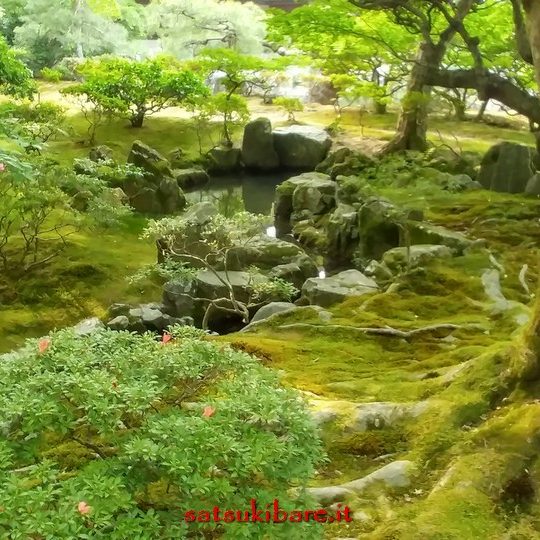 https://www.satsukibare.it/wp-content/uploads/2017/08/20170530_162051_HDR-540x540.jpg