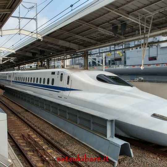 https://www.satsukibare.it/wp-content/uploads/2017/08/20170601_074508_HDR-540x540.jpg