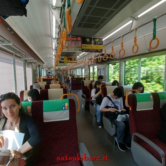 https://www.satsukibare.it/wp-content/uploads/2017/08/20170602_092115_HDR-540x540.jpg