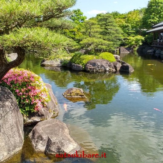 https://www.satsukibare.it/wp-content/uploads/2017/08/20170602_143359_HDR-540x540.jpg