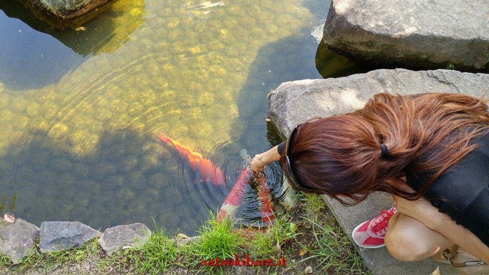 https://www.satsukibare.it/wp-content/uploads/2017/08/20170602_143610_HDR-960x540.jpg