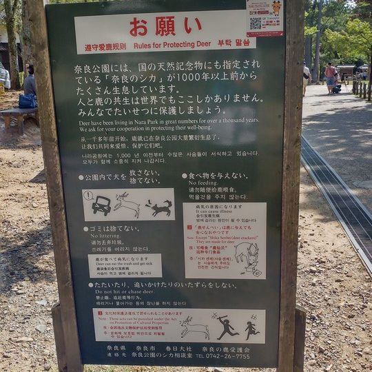 https://www.satsukibare.it/wp-content/uploads/2017/08/20170603_145923_HDR-540x540.jpg