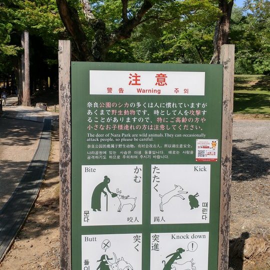 https://www.satsukibare.it/wp-content/uploads/2017/08/20170603_145932_HDR-540x540.jpg