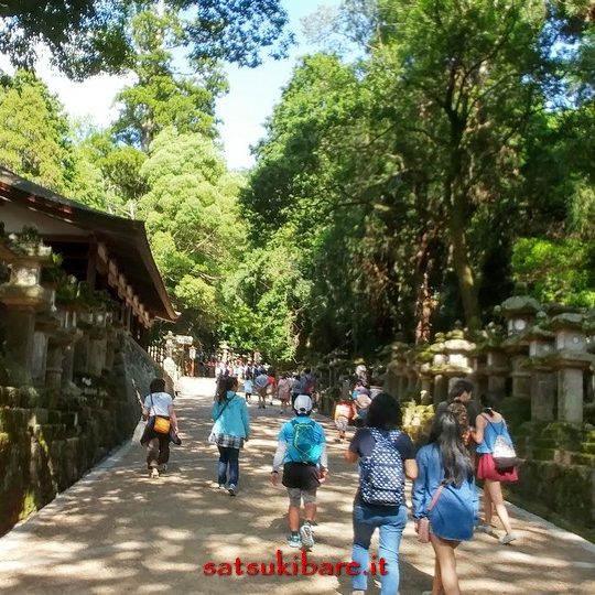 https://www.satsukibare.it/wp-content/uploads/2017/08/20170603_153249_HDR-540x540.jpg