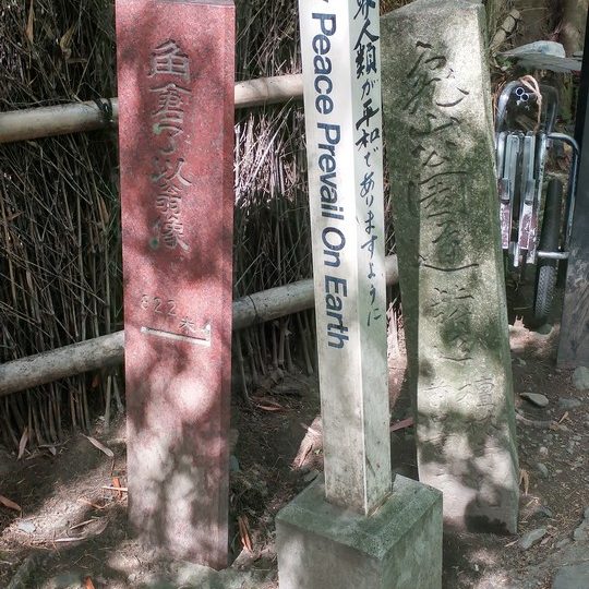https://www.satsukibare.it/wp-content/uploads/2017/08/20170604_083525_HDR-540x540.jpg