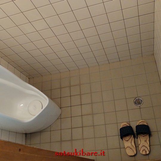 https://www.satsukibare.it/wp-content/uploads/2017/08/20170604_110335_HDR-540x540.jpg