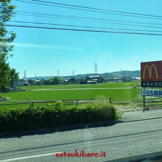 https://www.satsukibare.it/wp-content/uploads/2017/08/20170606_083504_HDR-540x540.jpg