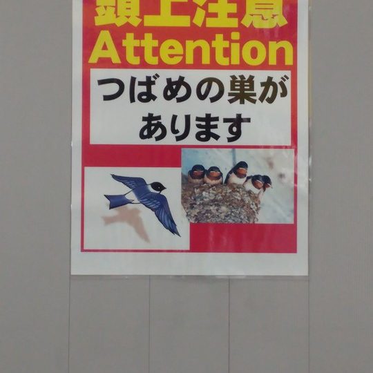 https://www.satsukibare.it/wp-content/uploads/2017/08/20170607_092052_HDR-540x540.jpg