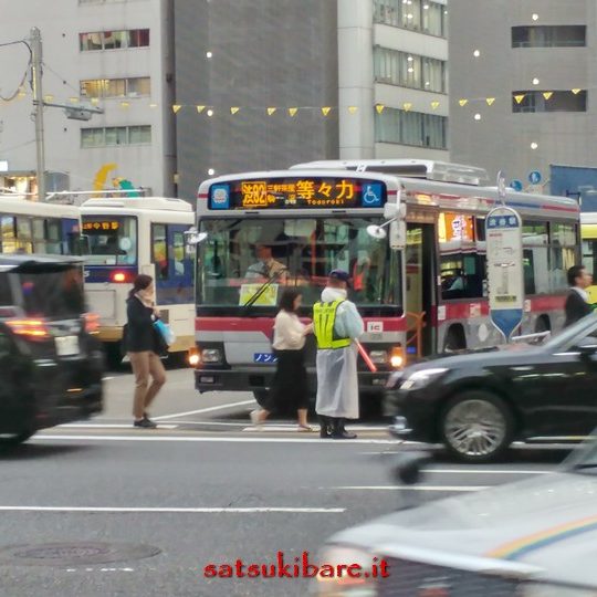 https://www.satsukibare.it/wp-content/uploads/2017/08/20170607_184001_HDR-540x540.jpg