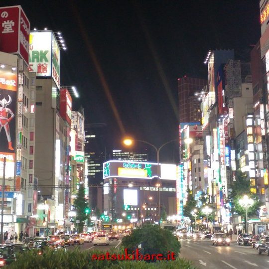 https://www.satsukibare.it/wp-content/uploads/2017/08/20170607_221218_HDR-540x540.jpg