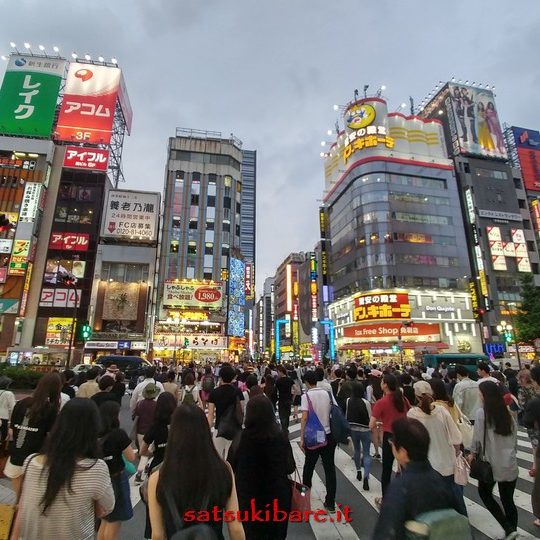 https://www.satsukibare.it/wp-content/uploads/2017/08/20170611_182424_HDR-540x540.jpg