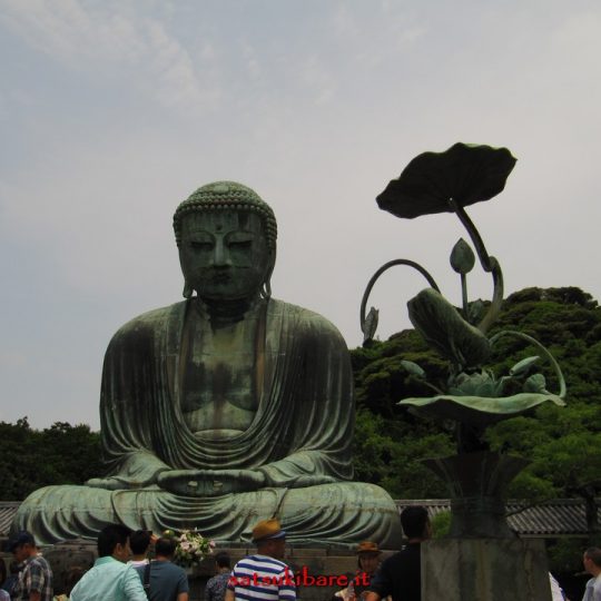 https://www.satsukibare.it/wp-content/uploads/2017/08/IMG_0027-540x540.jpg