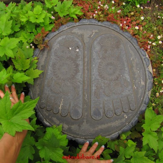 https://www.satsukibare.it/wp-content/uploads/2017/08/IMG_0054-540x540.jpg