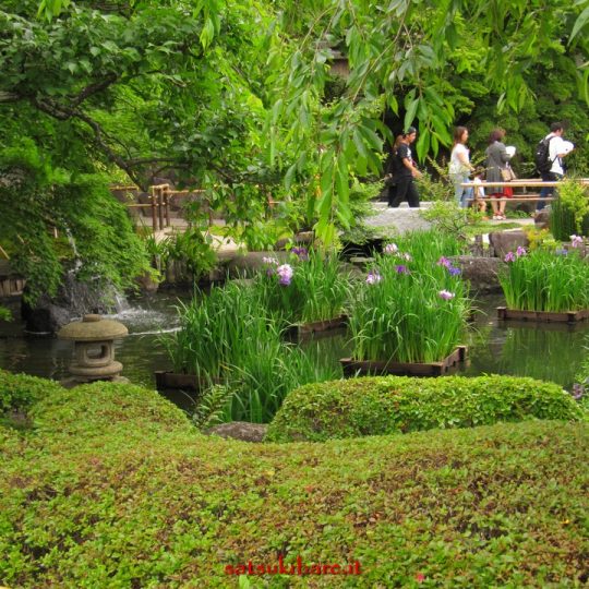 https://www.satsukibare.it/wp-content/uploads/2017/08/IMG_0056-540x540.jpg