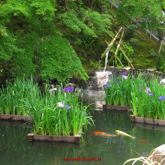 https://www.satsukibare.it/wp-content/uploads/2017/08/IMG_0135-540x540.jpg