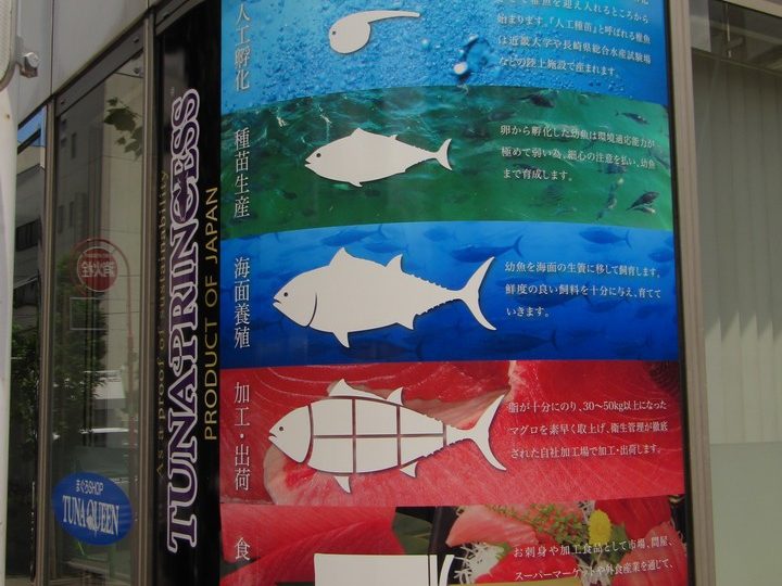 https://www.satsukibare.it/wp-content/uploads/2017/08/IMG_0173-720x540.jpg