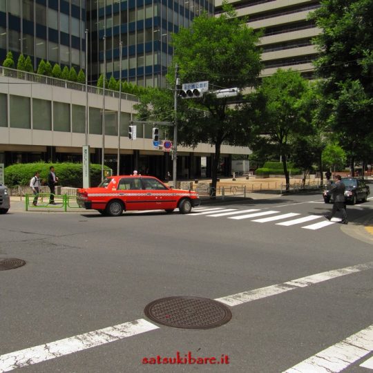 https://www.satsukibare.it/wp-content/uploads/2017/08/IMG_0181-540x540.jpg