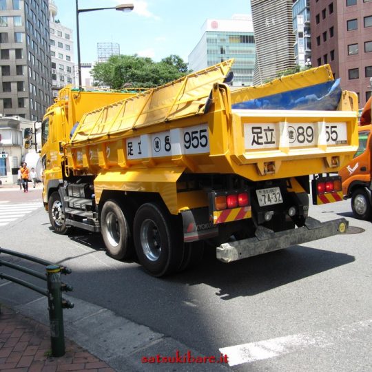 https://www.satsukibare.it/wp-content/uploads/2017/08/IMG_0190-540x540.jpg