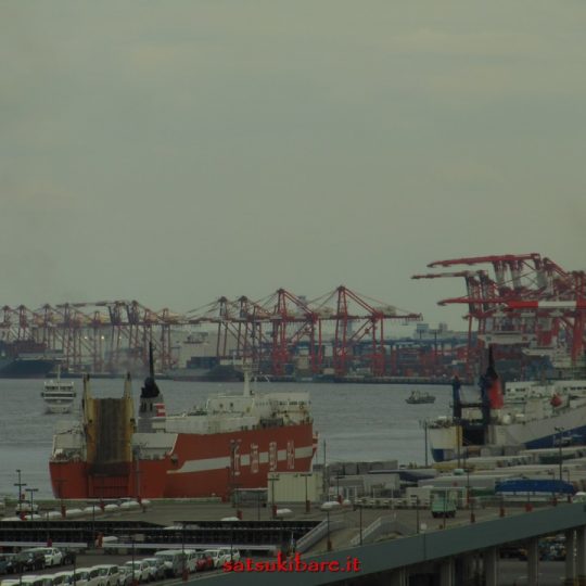 https://www.satsukibare.it/wp-content/uploads/2017/08/IMG_0236-540x540.jpg