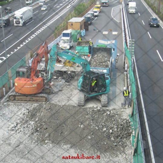 https://www.satsukibare.it/wp-content/uploads/2017/08/IMG_0312-540x540.jpg