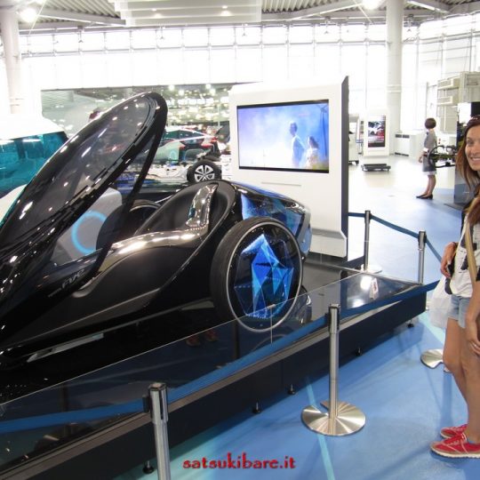 https://www.satsukibare.it/wp-content/uploads/2017/08/IMG_0325-540x540.jpg