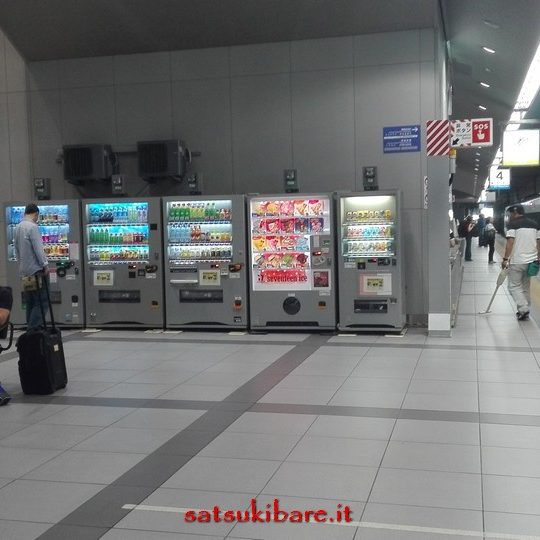 https://www.satsukibare.it/wp-content/uploads/2017/08/IMG_20170530_015844-540x540.jpg