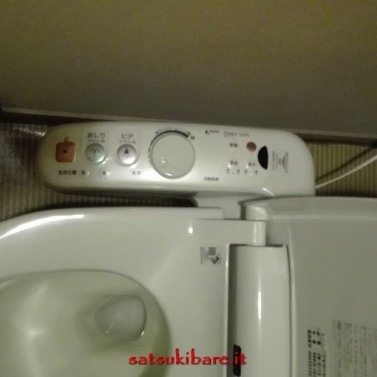https://www.satsukibare.it/wp-content/uploads/2017/08/IMG_20170601_174914-540x540.jpg
