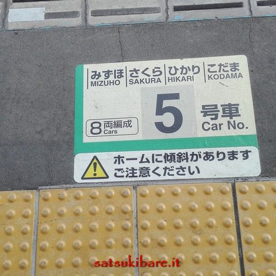 https://www.satsukibare.it/wp-content/uploads/2017/08/IMG_20170602_153714-540x540.jpg